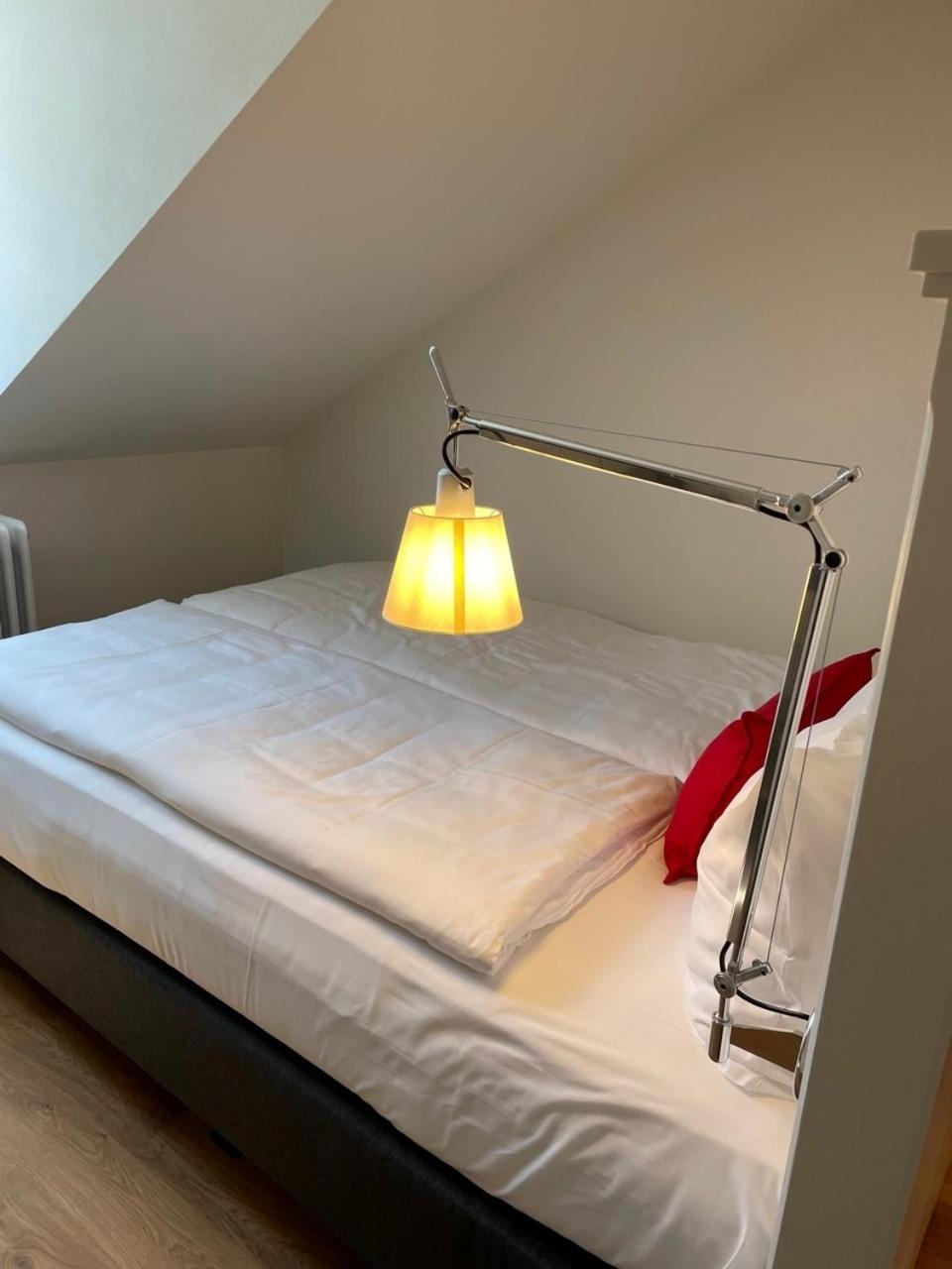 היידלברג Palmbraeu Altstadt Appartments מראה חיצוני תמונה